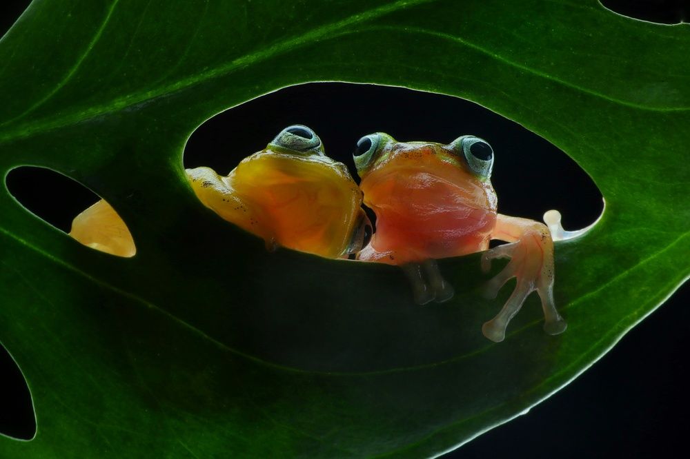 Photograph by Adi rosadi