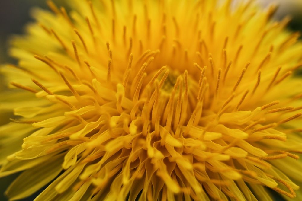 Photograph by Марина Савченко