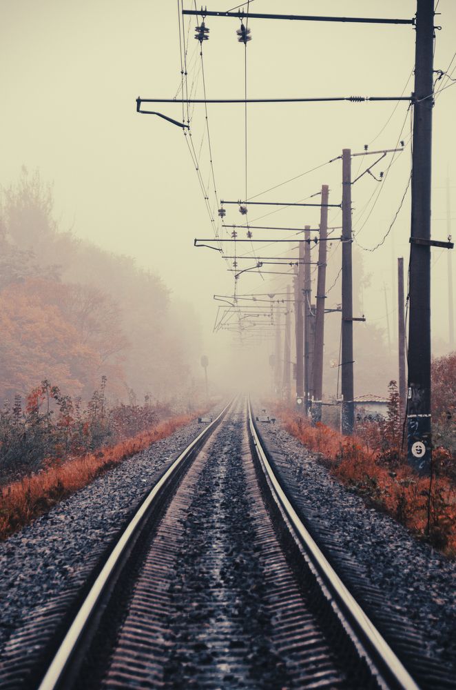 Photograph by Alexander Zvir