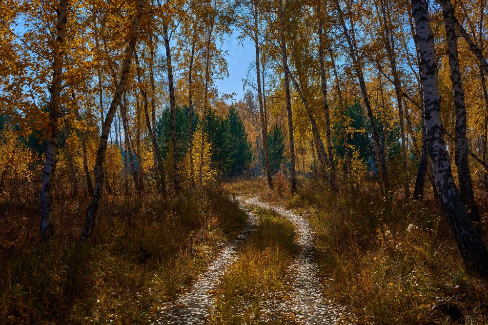 Photograph by Сергей Стукен