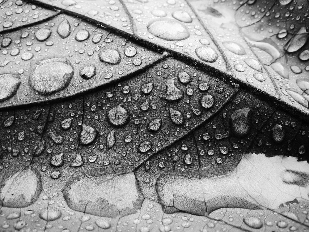 Photograph by jonjon347657