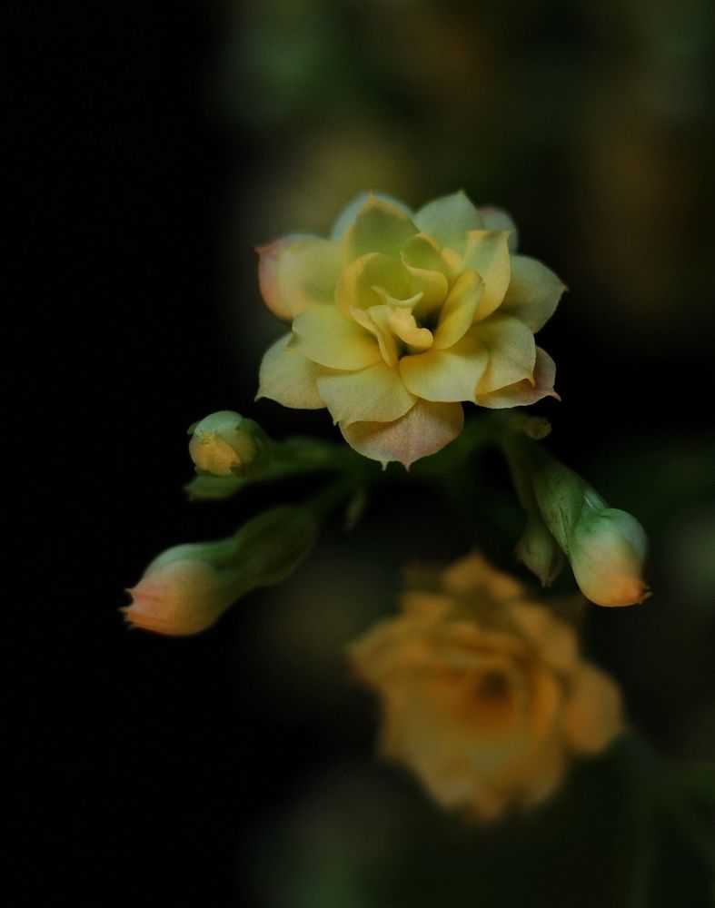 Photograph by Abolfazl Shahmiry