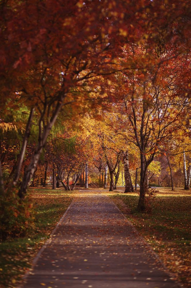 Photograph by Лазарева Анна Игоревна