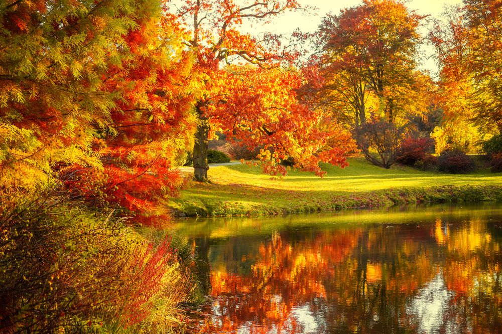 Photograph by Iryna Petrenko