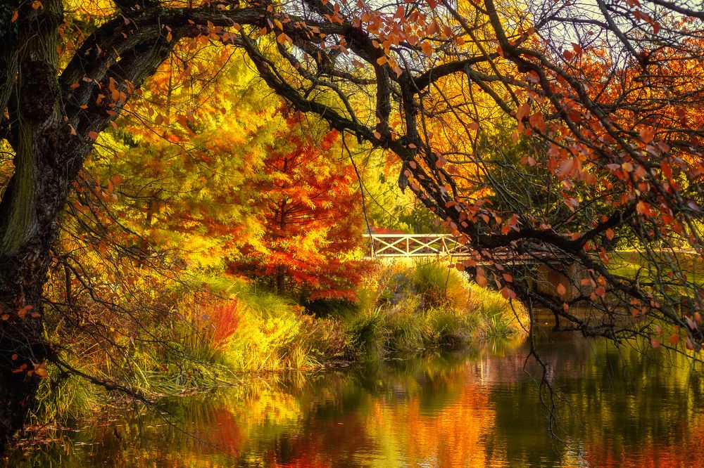 Photograph by Iryna Petrenko