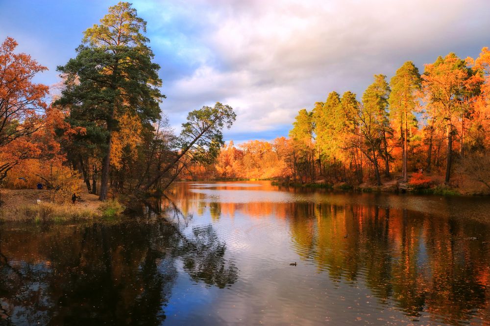 Photograph by Антоніна Вознюк