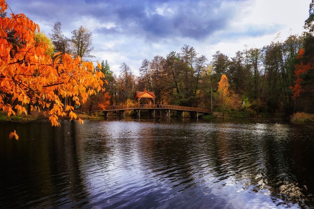 Photograph by Антоніна Вознюк