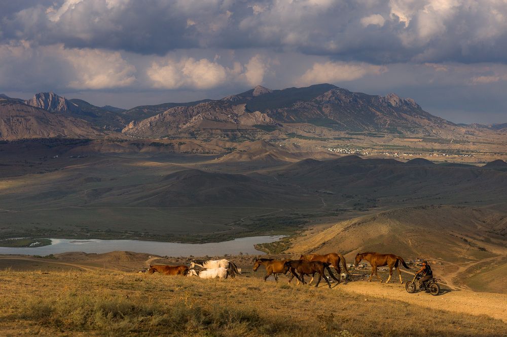 Фотография автора Виталий Смелик