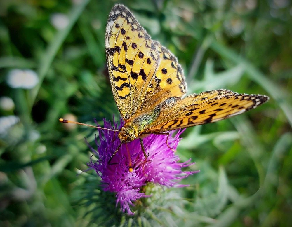 Photograph by Epp Tappel