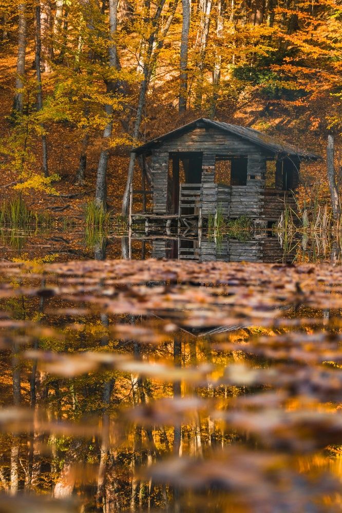 Photograph by Никита