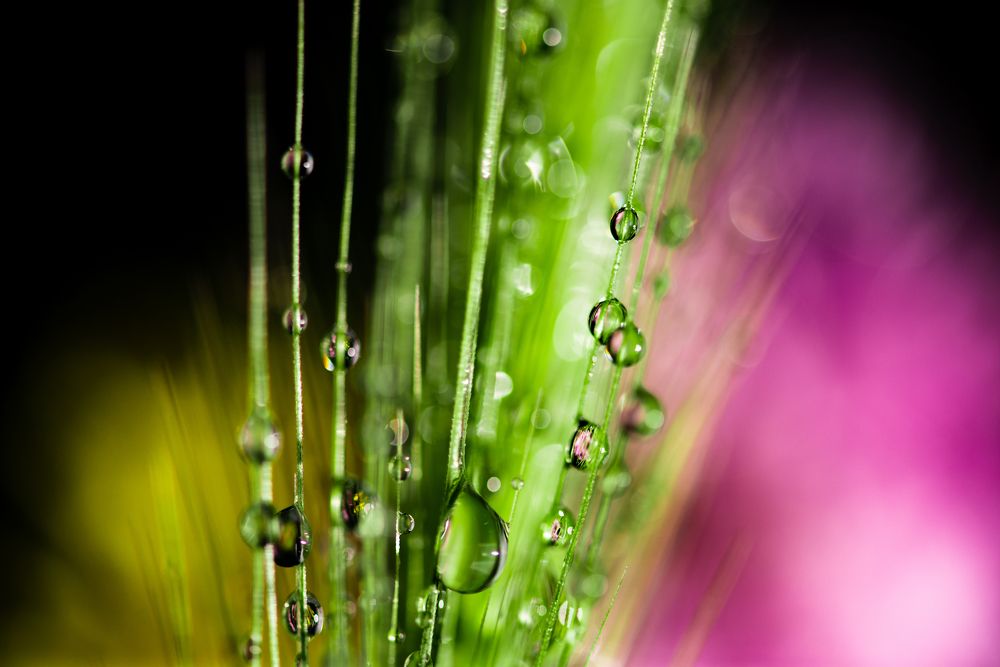 Photograph by Алексей Карпинчик