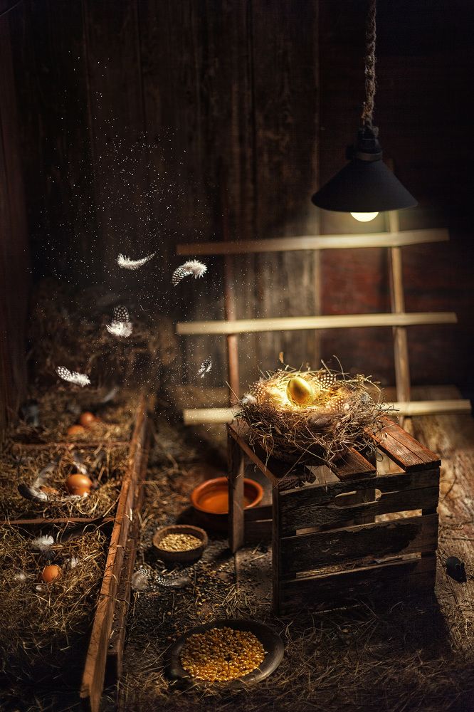 Курочка ряба