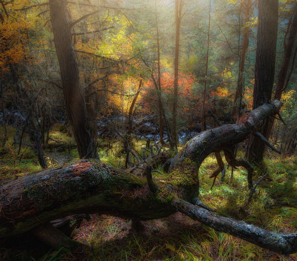 Photograph by Наргиза Кахарова