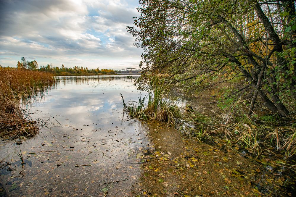 Фотография автора Вадим Топычканов