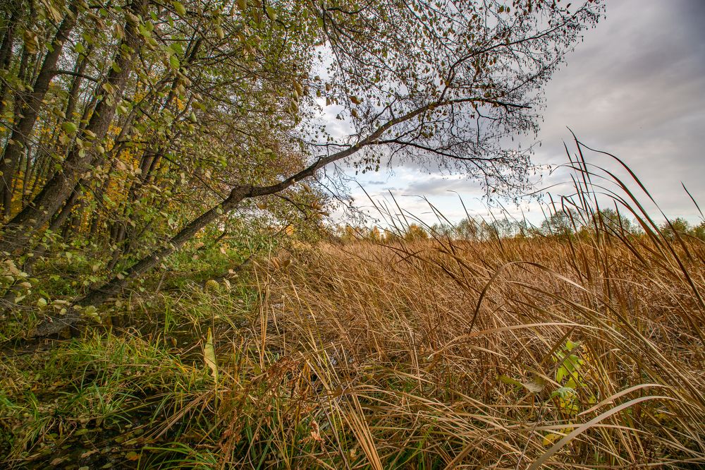 Фотография автора Вадим Топычканов