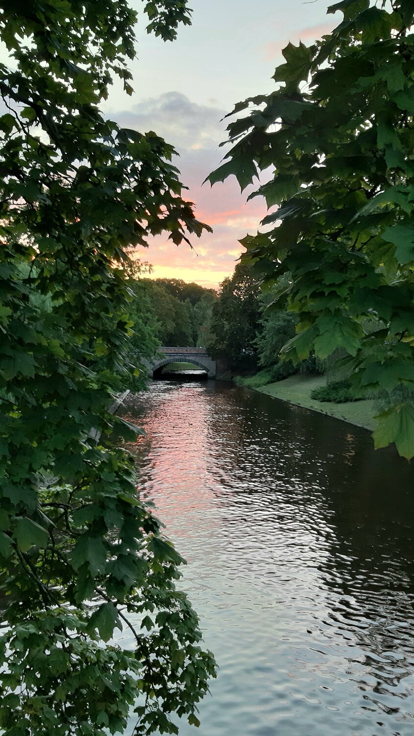 Photo #6655424