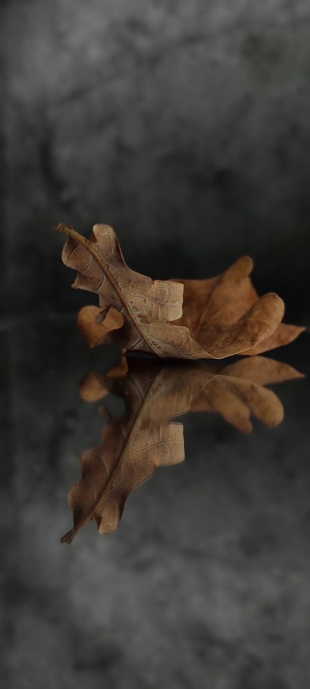 Photograph by Helen Ka