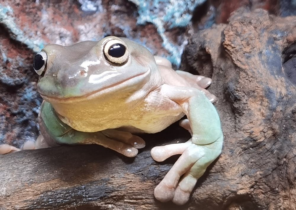 Photograph by Олеся Ивановна Жанько