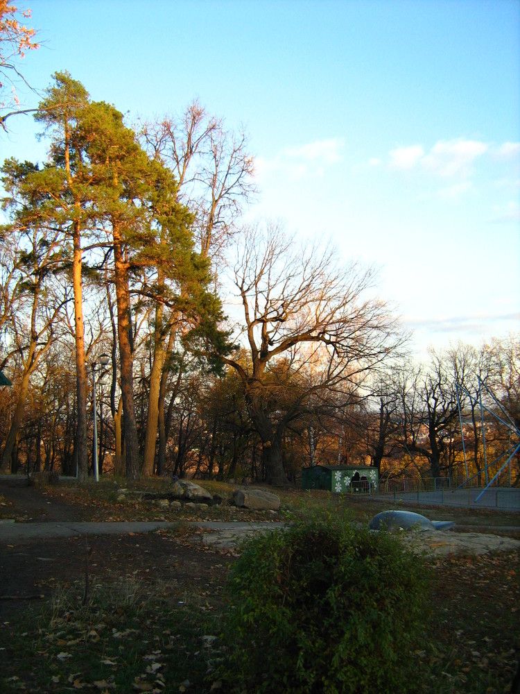 Photograph by Прикс Эльвина