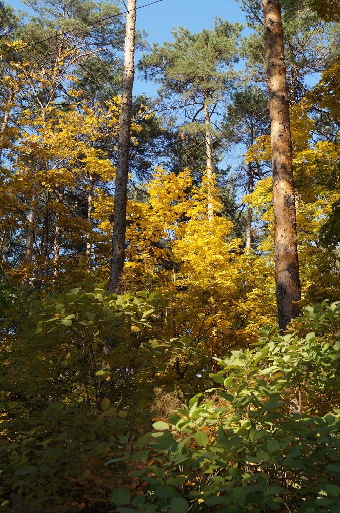 Photograph by Прикс Эльвина