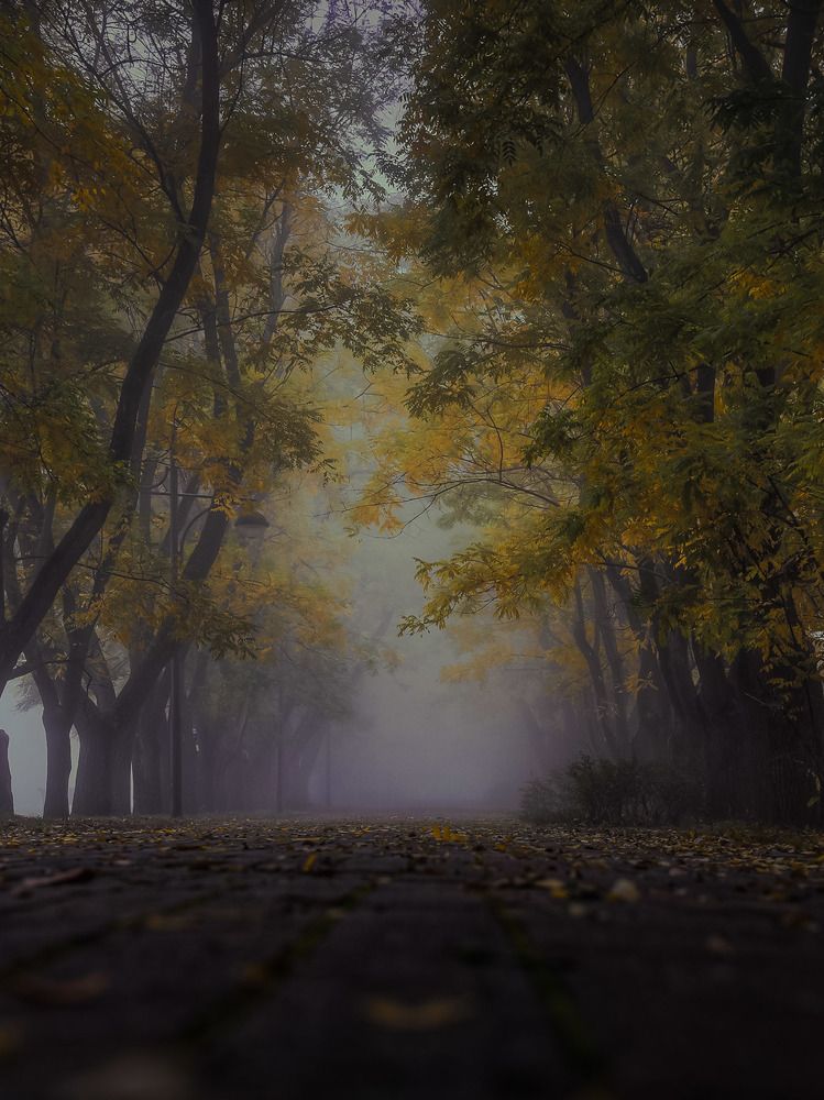 Photograph by Владимир Кульбит