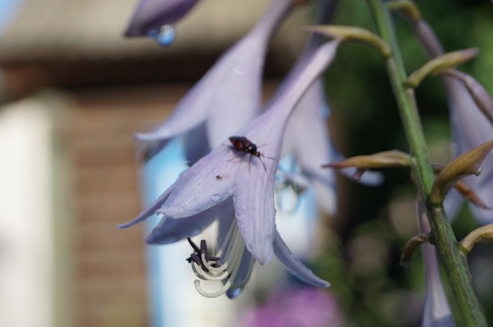 Photograph by Прикс Эльвина