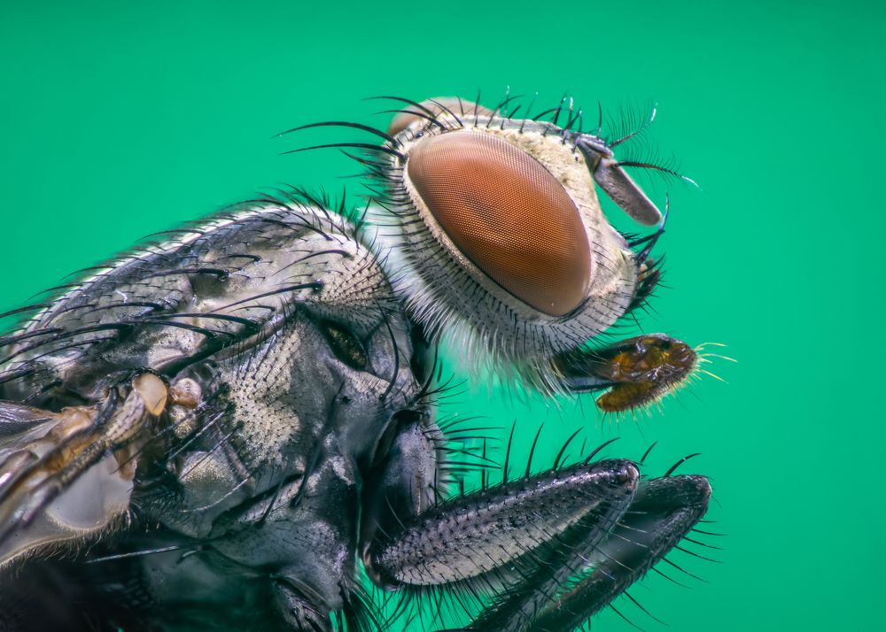 Photograph by Phan Thu