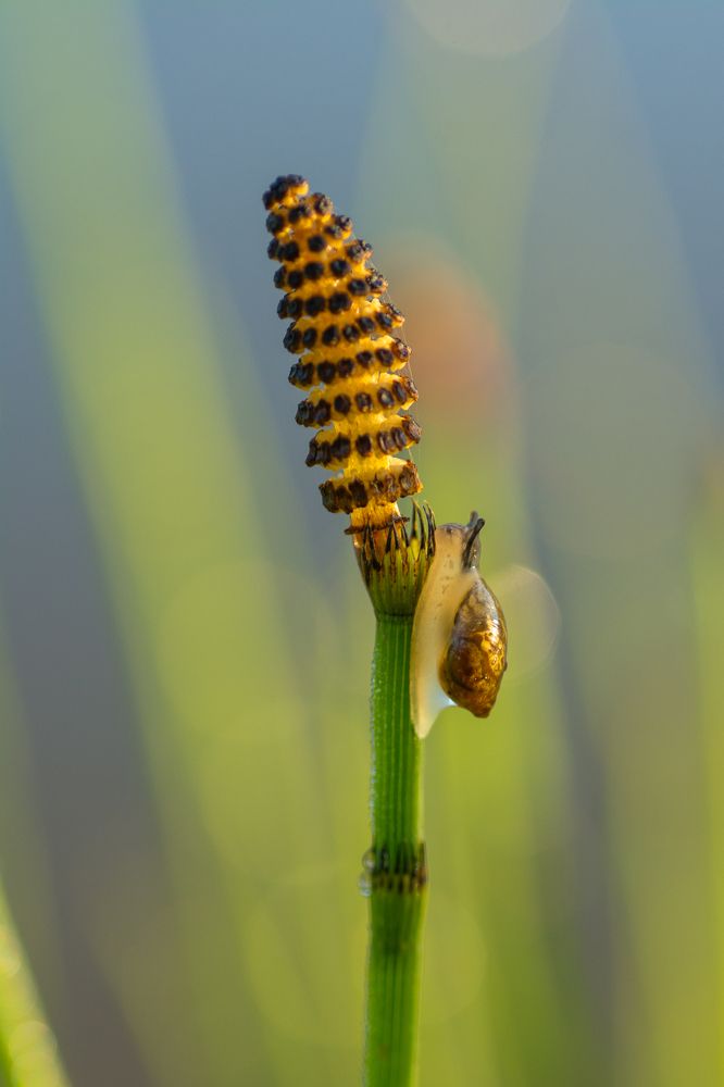Photograph by Жданов Дмитрий