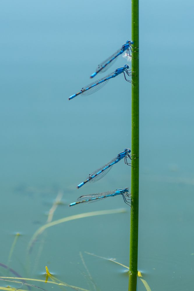 Photograph by Жданов Дмитрий