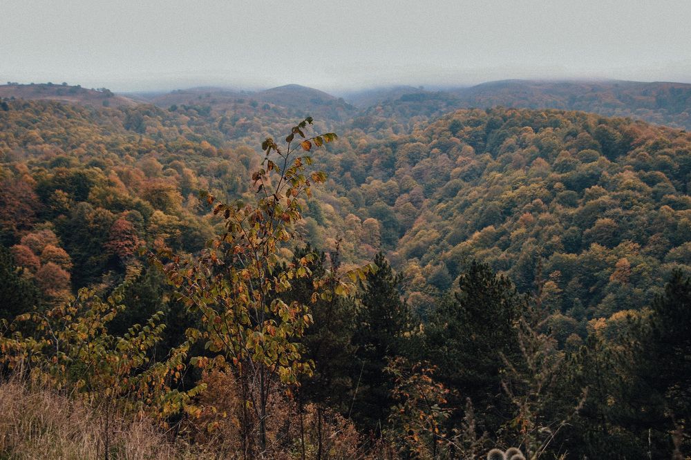 Photograph by Катя