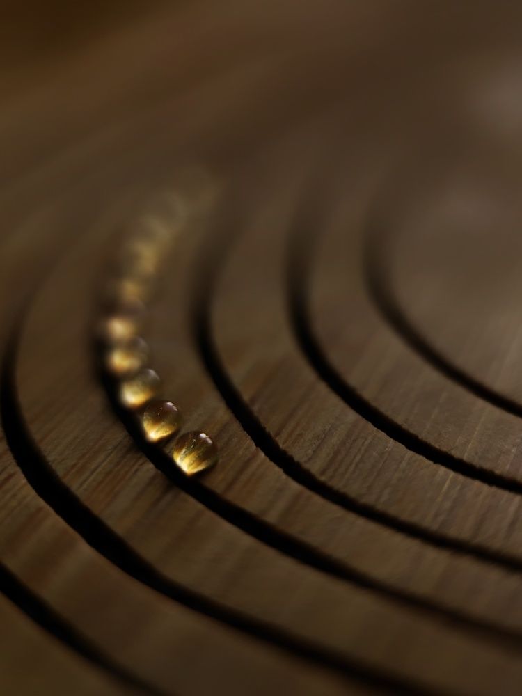 Photograph by Светлана Смирнова