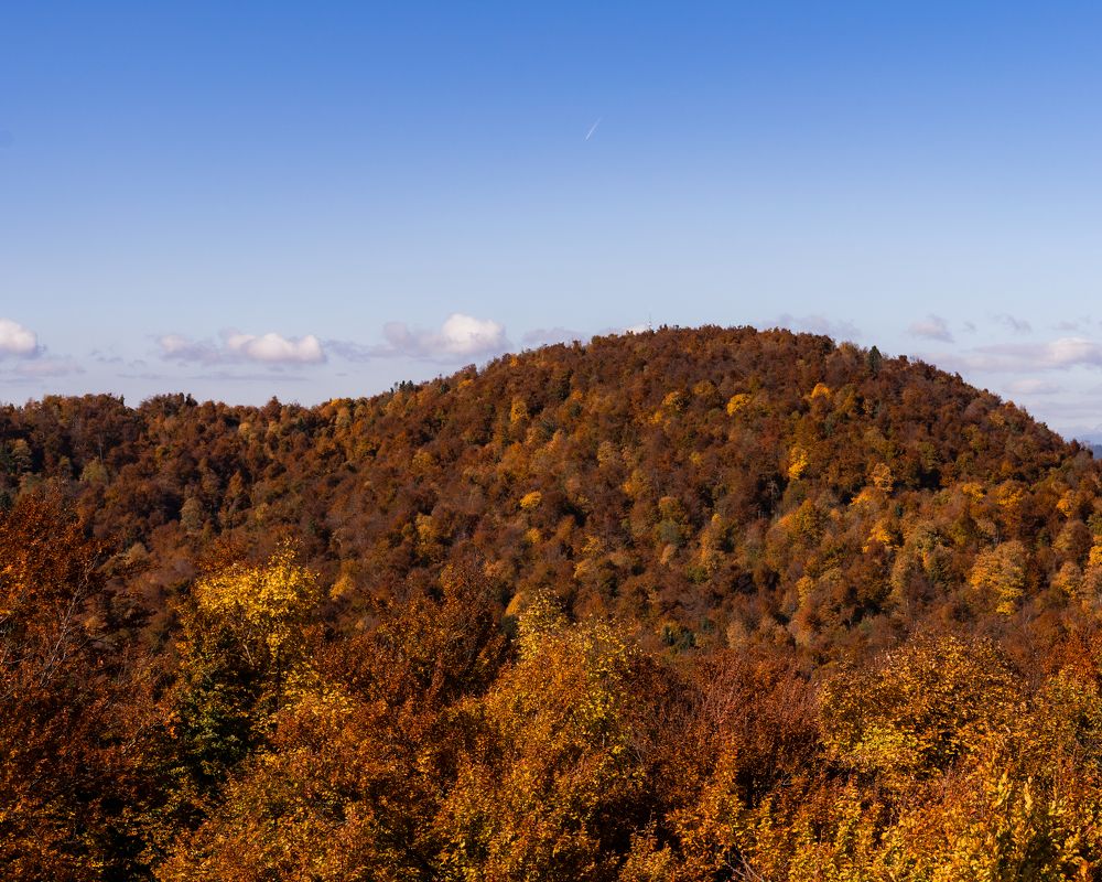 Photograph by Alena Solomonova