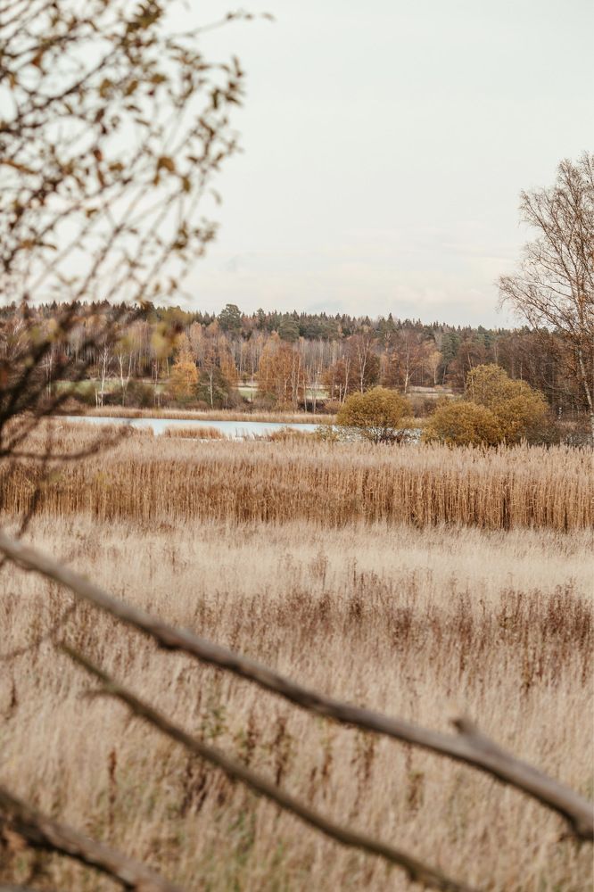 Photograph by Sophie Haek