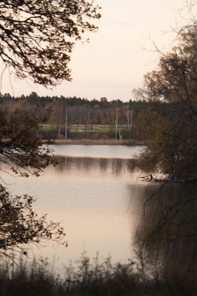 Photograph by Sophie Haek