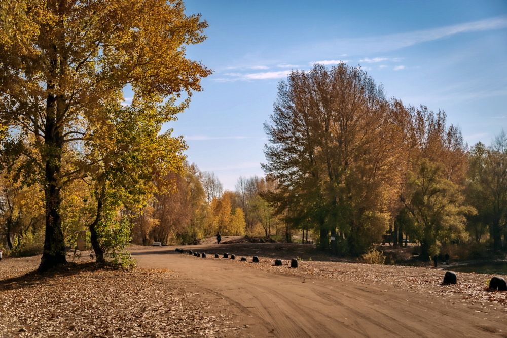 Photograph by Галина Чепиль