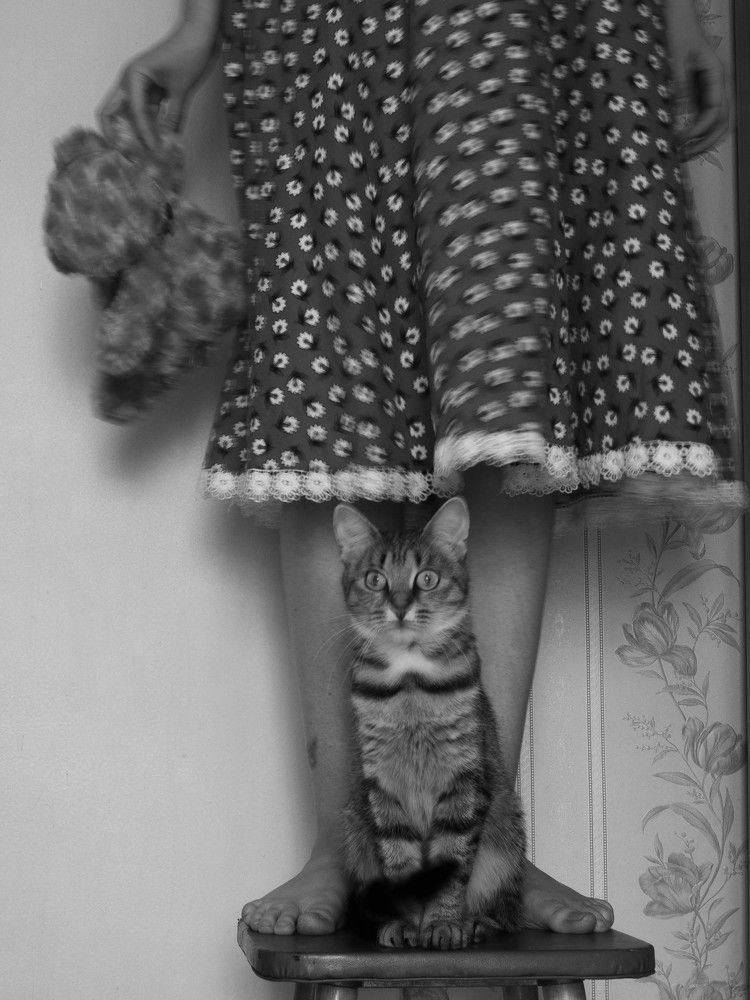 Кошка не игрушка