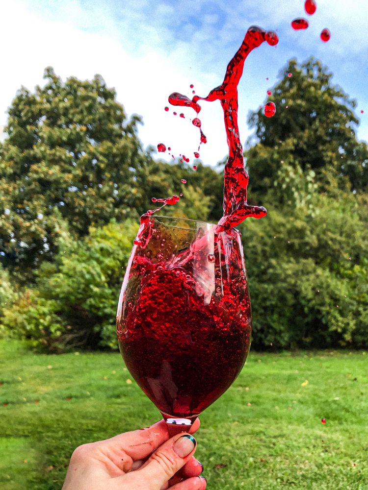 Photograph by Maria Yeromina