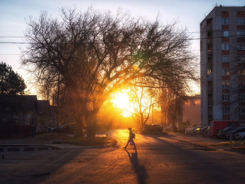 Photograph by z14photo