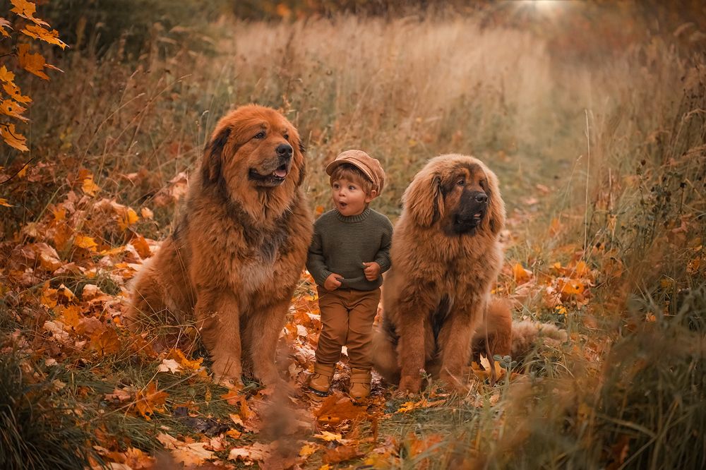 Photograph by Alexandra Kutsenkova