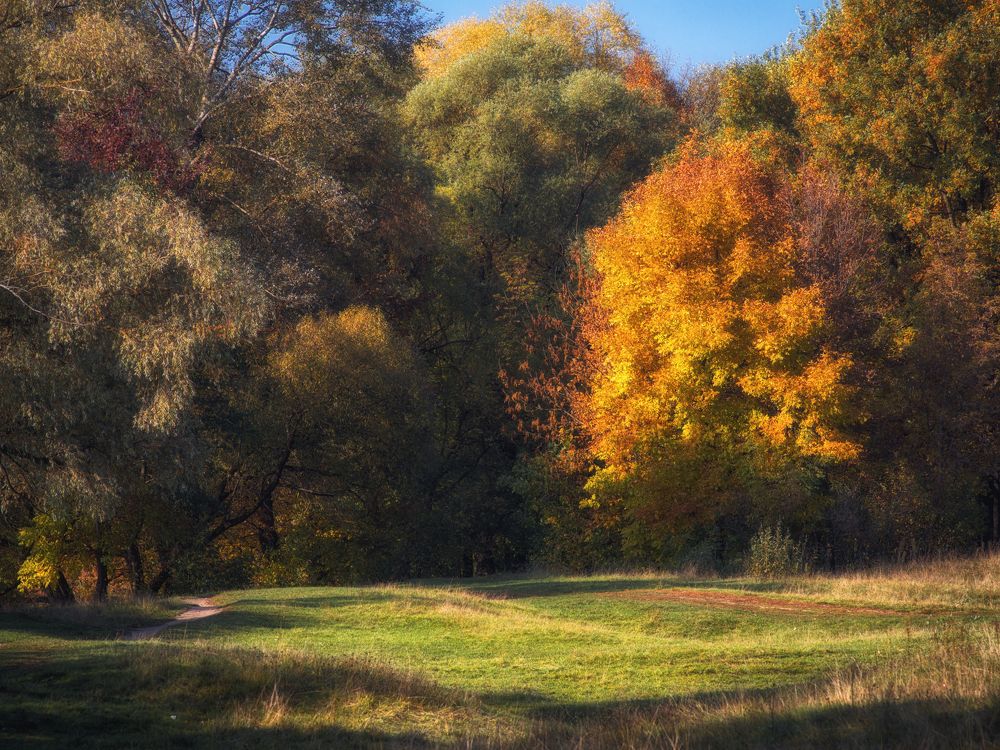 Photograph by z14photo