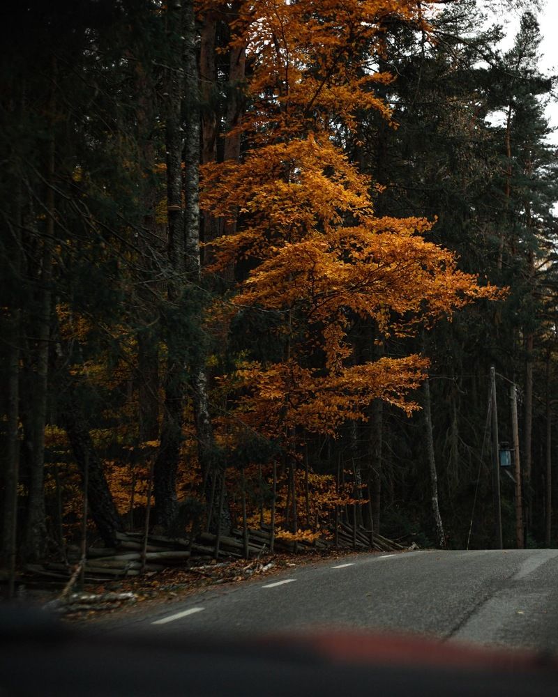 Photograph by Sophie Haek