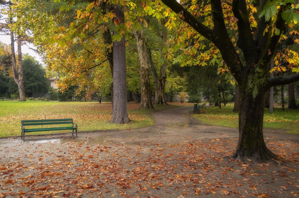 Photograph by Светлана Мельник