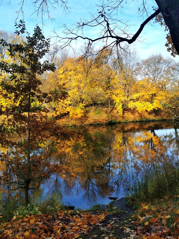 Photograph by Наталия Питолина