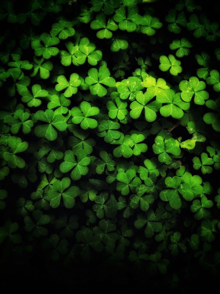 Фотография автора Ольга Игуменова