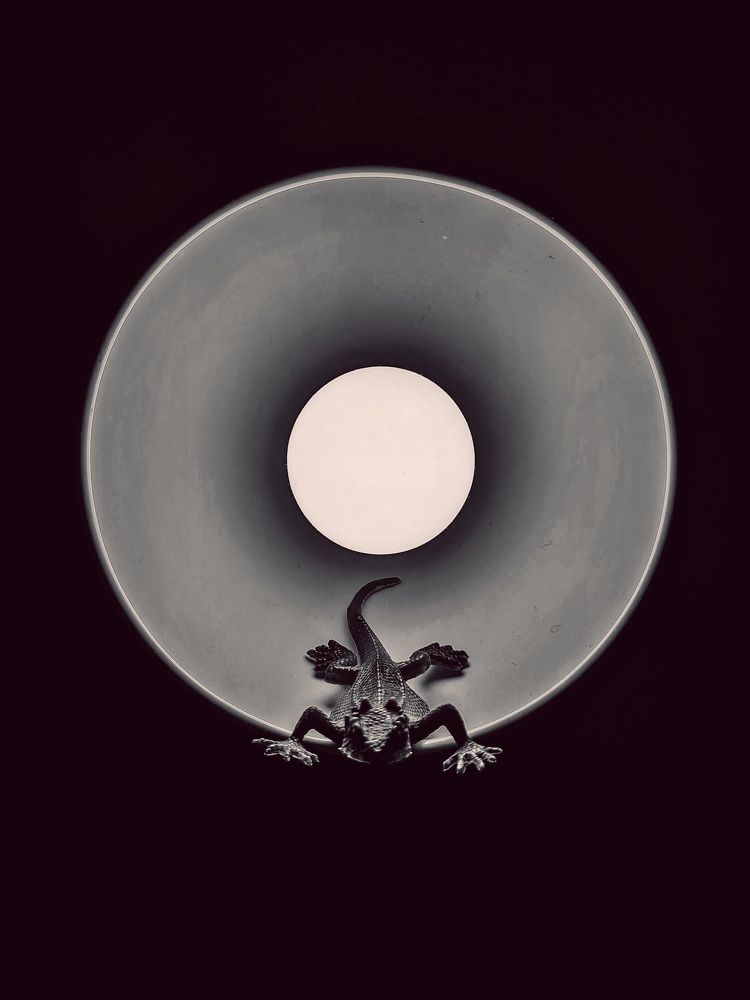 Photograph by Павел Гербей