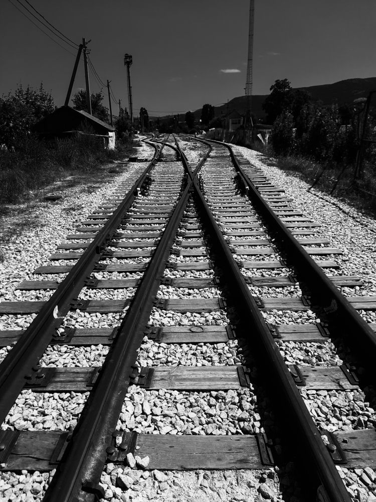 Photograph by George Pavlov