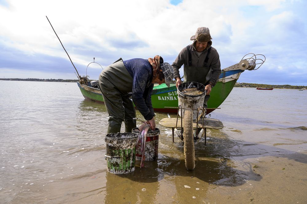 Passion and pain at artisanal fishing
