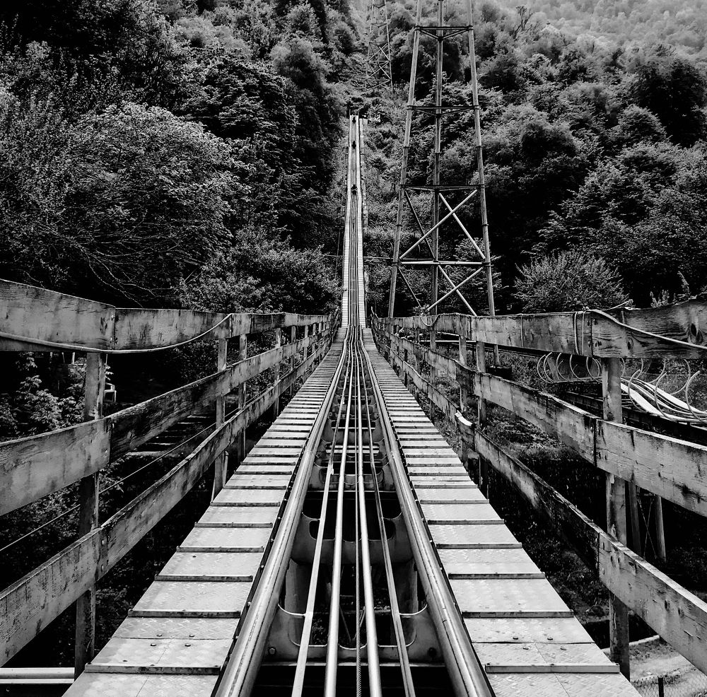 Photograph by Alireza Karimian