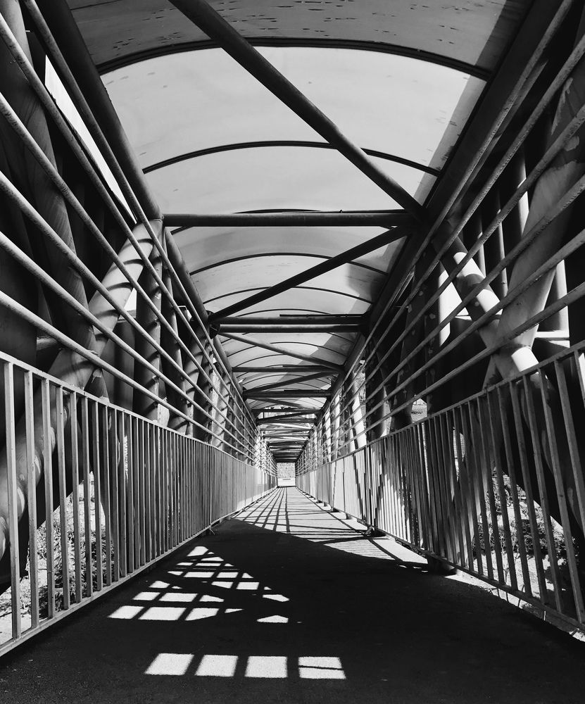 Фотография автора Alireza Karimian