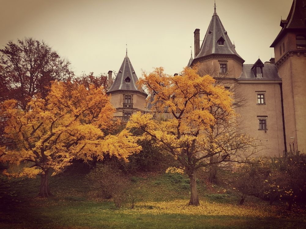 Photograph by Małgorzata Szymańska
